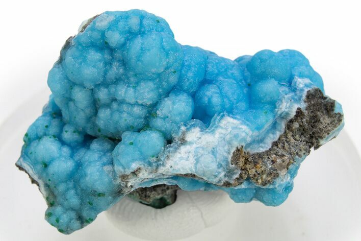 Sky-Blue Botryoidal Hemimorphite - Congo #312440